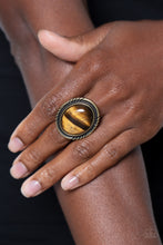 Load image into Gallery viewer, Paparazzi 🔆 Stone Terrarium - Brass Ring