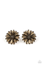 Load image into Gallery viewer, oak-sisters-jewelry-daisy-dilemma-brass-post earrings-paparazzi-accessories-by-lisa