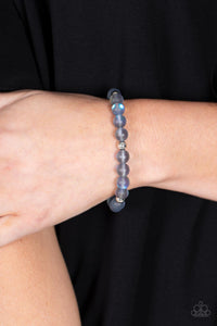 Paparazzi 🔆 Forever and a DAYDREAM - Silver Bracelet